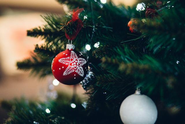 the-debate-between-real-and-artificial-trees