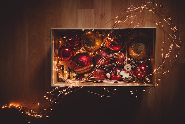 Deck the Halls with Christmas Ornaments for your Pet-Loving Home
